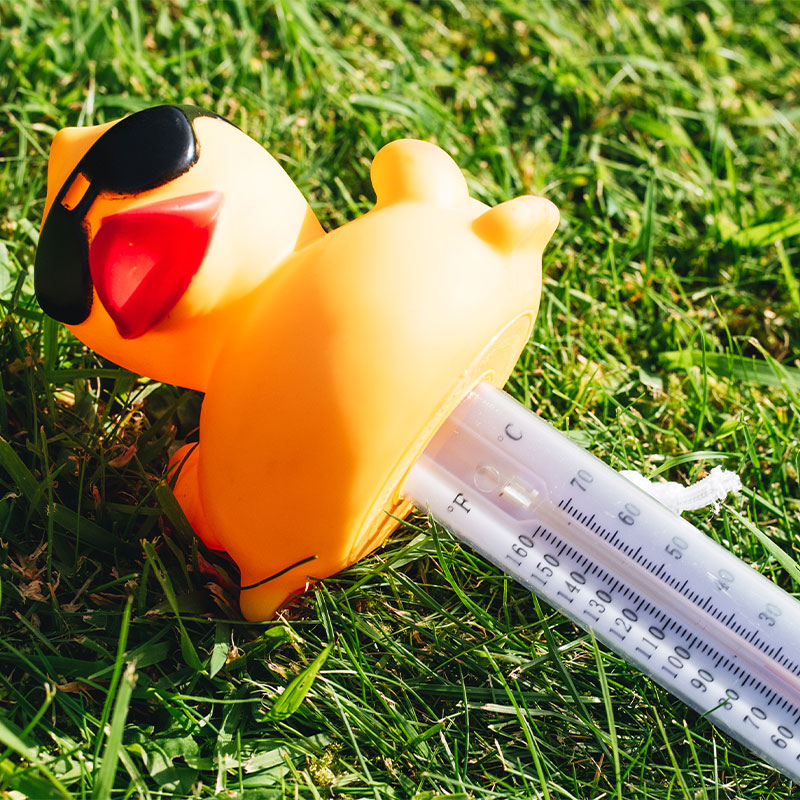 Duck Thermometer 1 Duck Thermometer